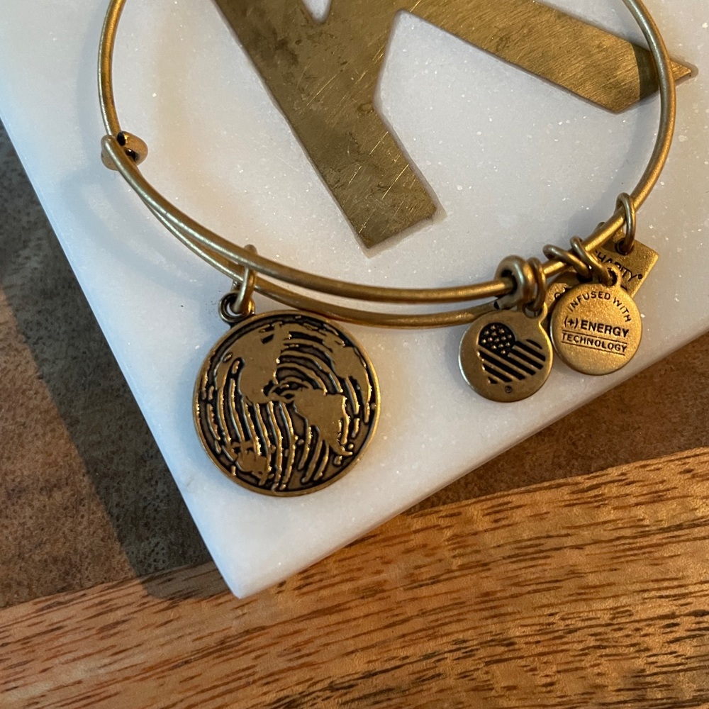 Alex and Ani Earth Bracelet